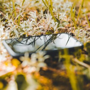 julian-hochgesang-IZfDL25uSiA-unsplash Julian hochgesang IZfDL25uSiA unsplash