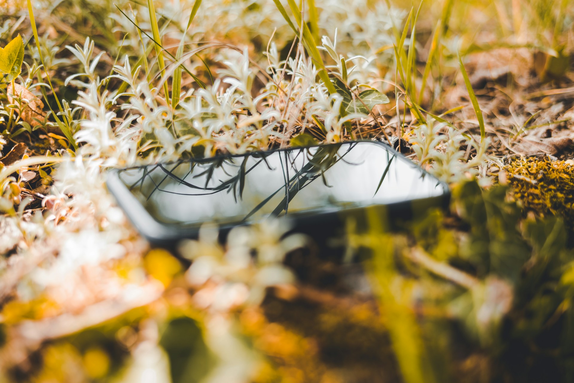 Julian hochgesang IZfDL25uSiA unsplash