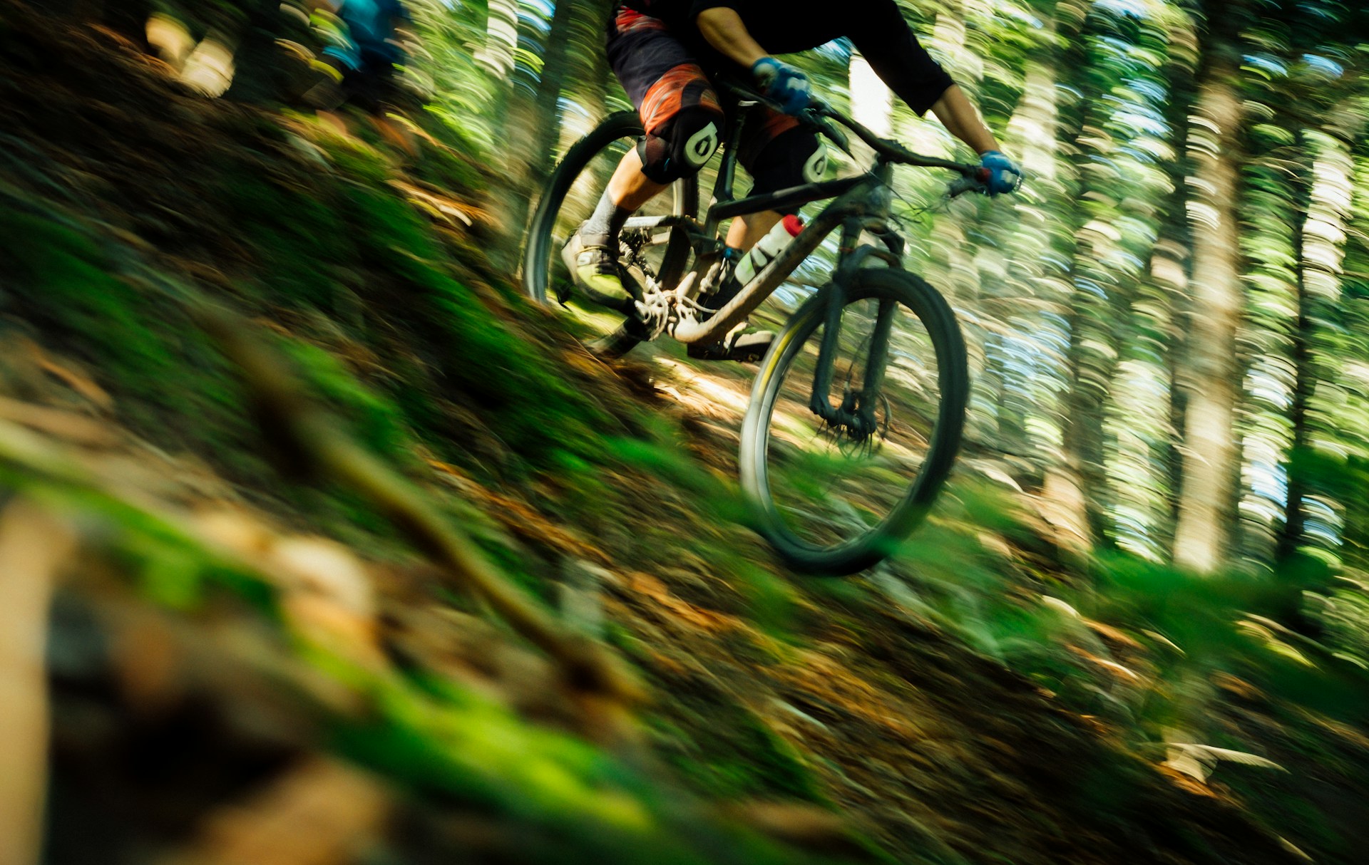 Tim foster jhovC0t8f 8 unsplash